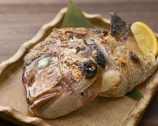 Sakana To Sake To Kushi Chirori - 鯛のかま焼き