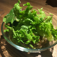 カリフォルニアラウンジ ステーキ＆ワイン 川崎店 - 