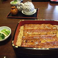 明神下 神田川 本店 - うな重