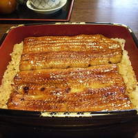 明神下 神田川 本店 - うな重