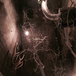 ボタニカルアイテムアンドカフェ シアン - 