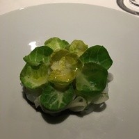 レフェルヴェソンス - 芽キャベツの下にはヤリイカのタリアテッレ