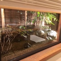 志木葉 - 
