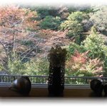 金蘭荘 花山 - 館内からの朝の風景　2014.10