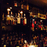 Bar finch - 