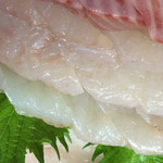 天一 - まとうだい