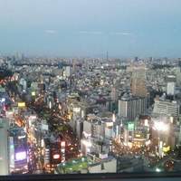 タワーズバー ベロビスト - 