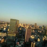 タワーズバー ベロビスト - 