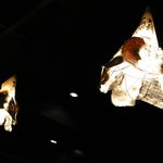 茅ヶ崎 海ぶね - 印象的なライト