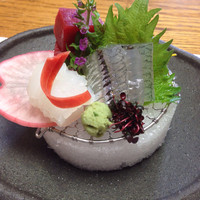 柿安 料亭本店 - お造り（鮪、イカ、サヨリ）