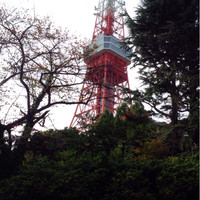 和食 清水 - お席から、東京タワーヾ(＠⌒ー⌒＠)ノ