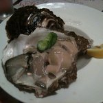 レストランディモア - 生牡蠣（大きいです）
