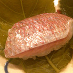 まき村 - 2016/3_春子鯛の桜の葉寿司