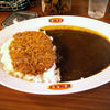 カレキチ 秋葉原店