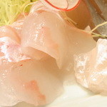 はてなのちゃわん - すっごく大きいヒラメがいたよ！　単品だと￥１２８０