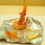 あま木 - 甘海老＆白エビの昆布締め