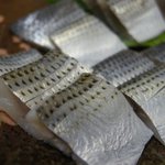 棟梁 - （2010/7月）「小肌の刺身」アップ