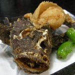 棟梁 - （2010/7月）おこぜの顔を正面から見たところ