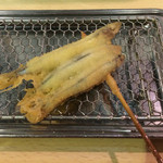 串ゆう - きびなご