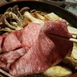 ニクバル CARNIVOR - 