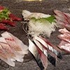 活魚卸直営の店 ニュー魚バカ三太郎 新宿本店