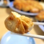 ファイト餃子 - 丸く可愛いファイトギョーザ