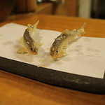 季節の天婦羅盛合せ「稚鮎」