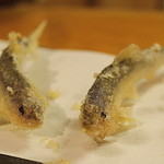 石臼挽き手打 蕎楽亭 - 季節の天婦羅盛合せ「稚鮎」