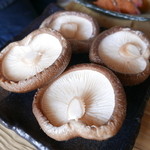 ろばたやき山ろく - サービスの極厚しいたけ！