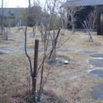 海のしょうげつ - 屋外