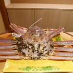 豪龍久保 - 松葉蟹