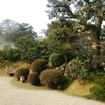 Tamatsukuri Onsen Yunosuke No Yado Chourakuen - この木の向こうに庭園露天風呂があります