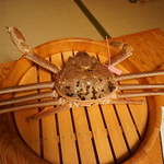 まる屋 - きたぁー！柴山の番かに。1.2kg以上のカニ