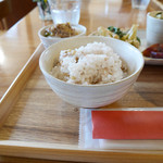 2016/2/21  雑穀米入りごはん