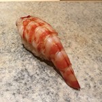 鮨 さいとう - 車海老（2016/2）