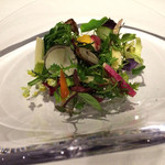 レフェルヴェソンス - 