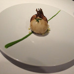 レフェルヴェソンス - 