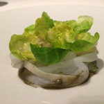 レフェルヴェソンス - 