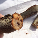 ル・シュクレクール - 断面