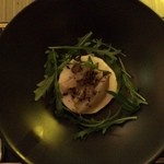 Light & Salt Daily - 