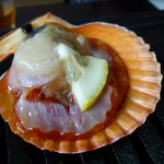 新島水産 - ☆ヒオウギ貝珍しいですね☆