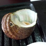 新島水産 - ☆サザエちゃんもジュージュー☆