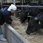 七輪焼肉 游來 - 