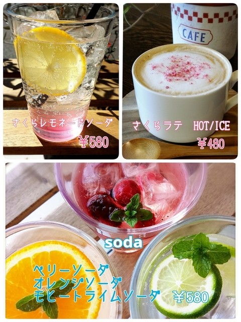 Shubi Do + CAFE photo 3
