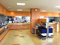 Primavera Uno photo 3