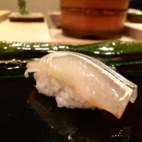 月の木 - サヨリ