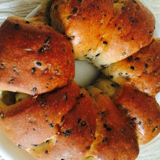 ぱぁぁねでっせ_0