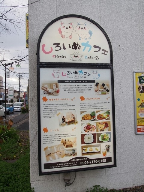 しろいぬカフェ 南流山 カフェ 食べログ しろいぬカフェ 南流山 カフェ 食べログ