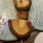 鶏けん - 原木しいたけ