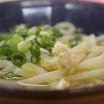 うつ海うどん - かけうどん